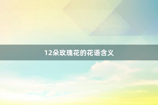 12朵玫瑰花的花语含义