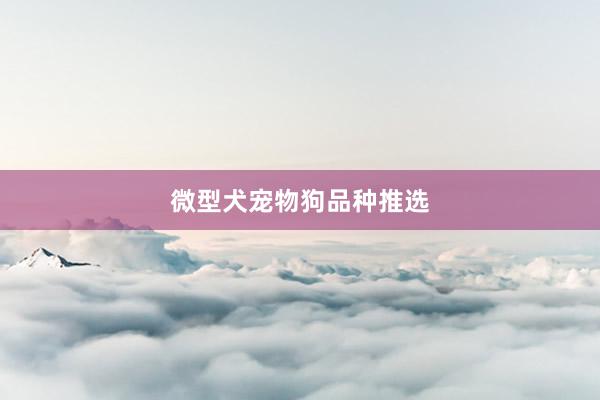 微型犬宠物狗品种推选