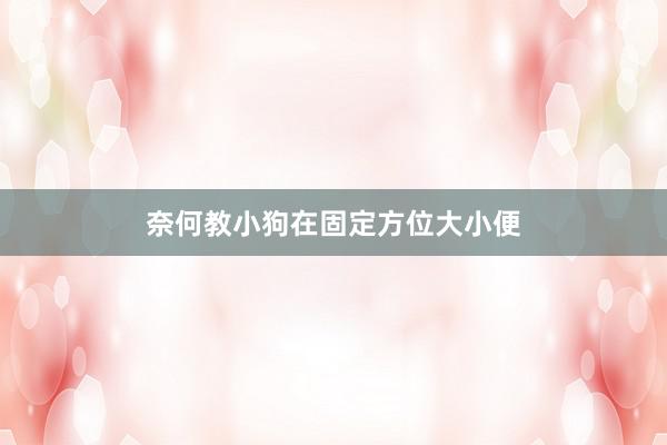 奈何教小狗在固定方位大小便