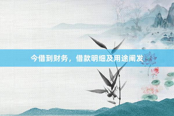 今借到财务，借款明细及用途阐发
